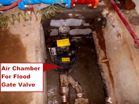 sewer valve