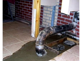 House trap / Backwater check valve