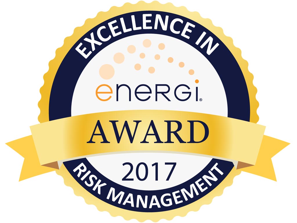 Energi Balkan Leading Risk Management Award 2017