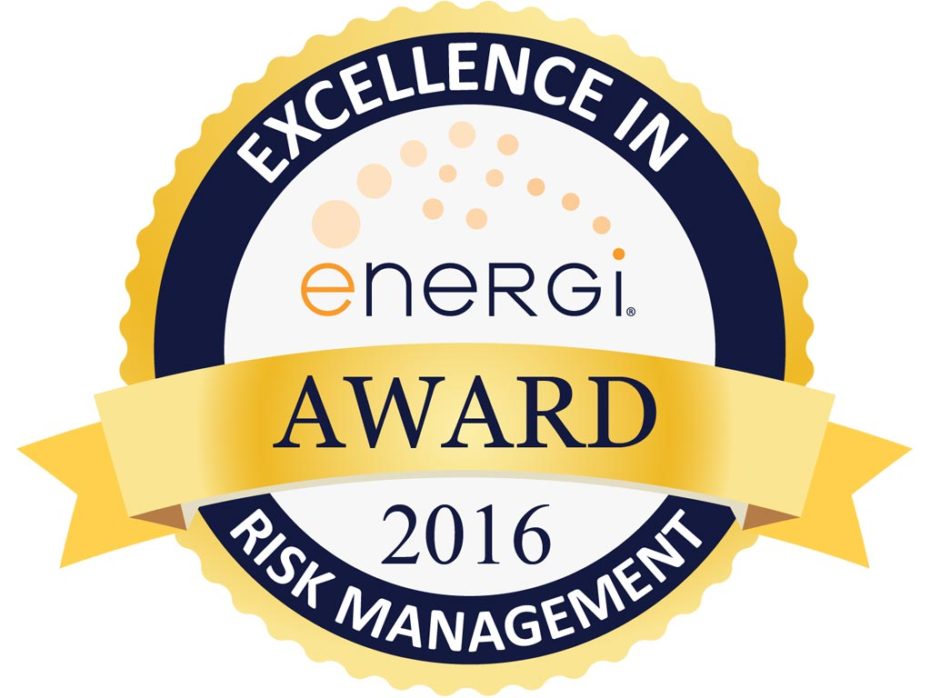 Energi Risk Management Seal