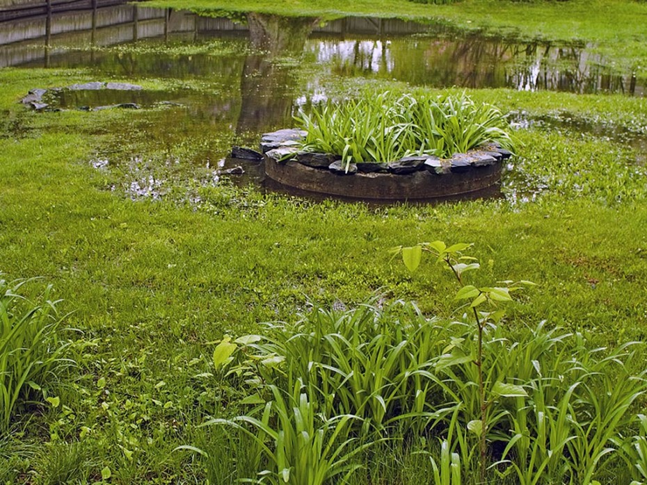 NYC Water Main Repair Water Pooling In Yard