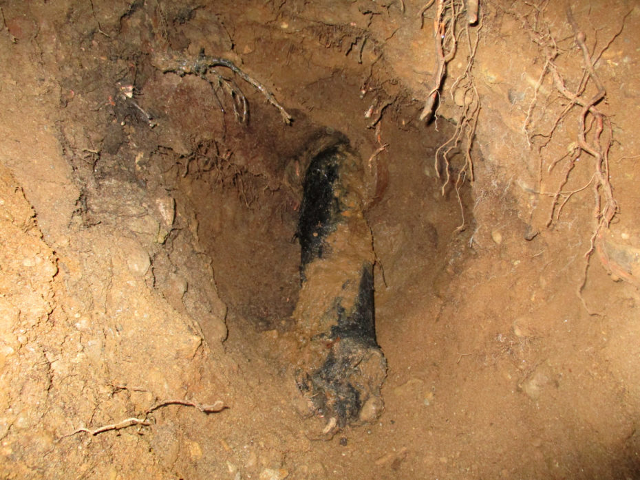 roots inside pipe
