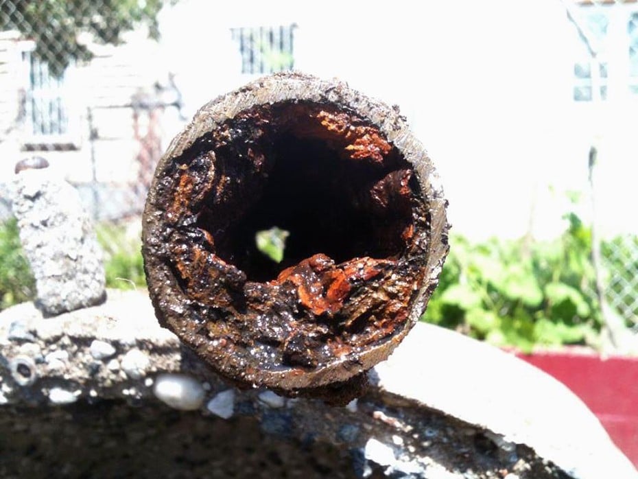 Sewer Line Backup Causes Fats Oils