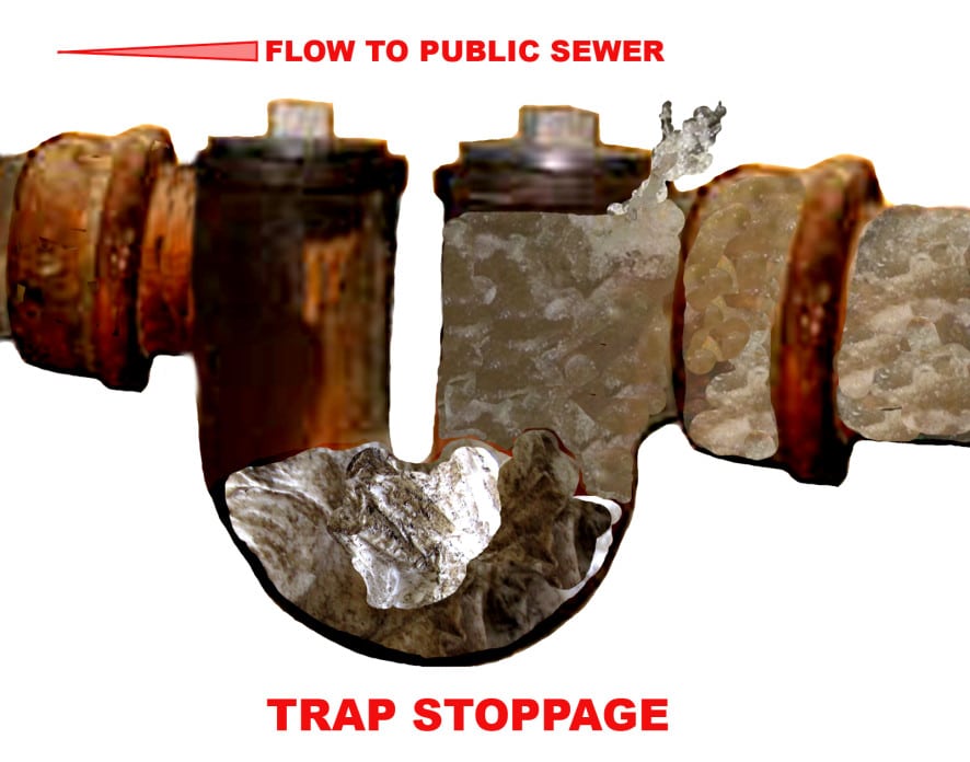 sewer trap