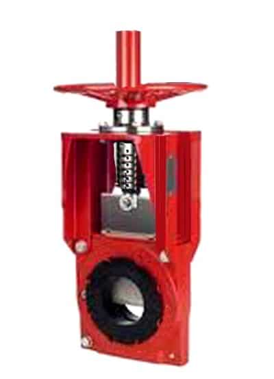 gate valve