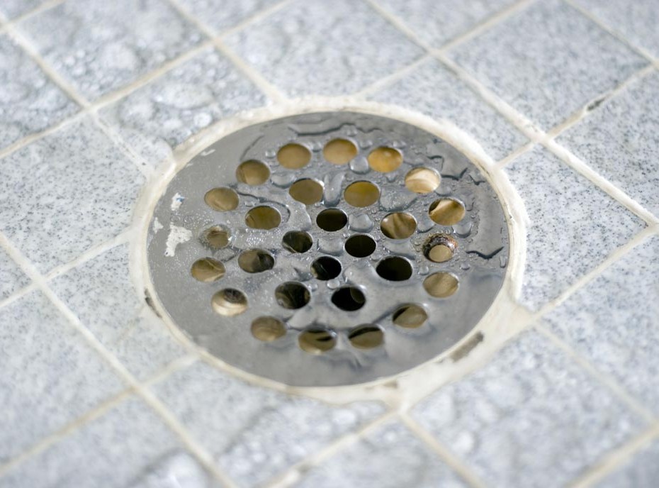 Shower Can Tell You About Sewer Line Backup