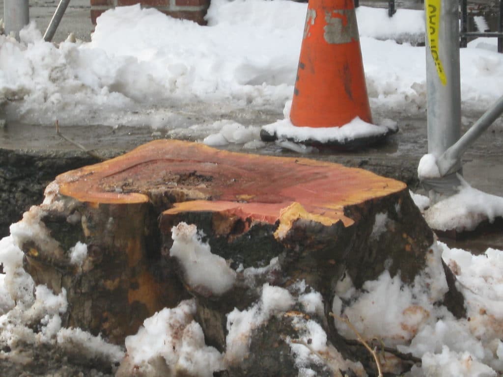 Water Main Repair Job Site